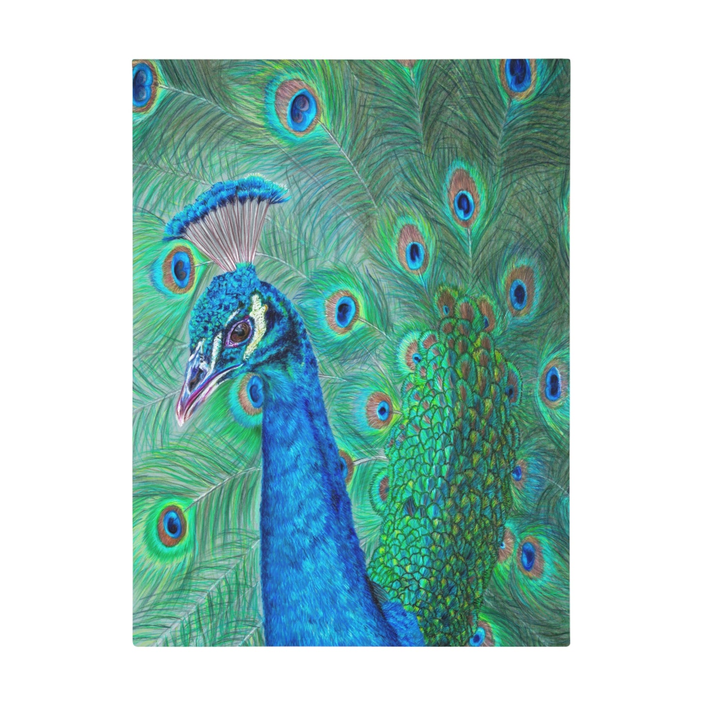 The Eyes Have It Blanket