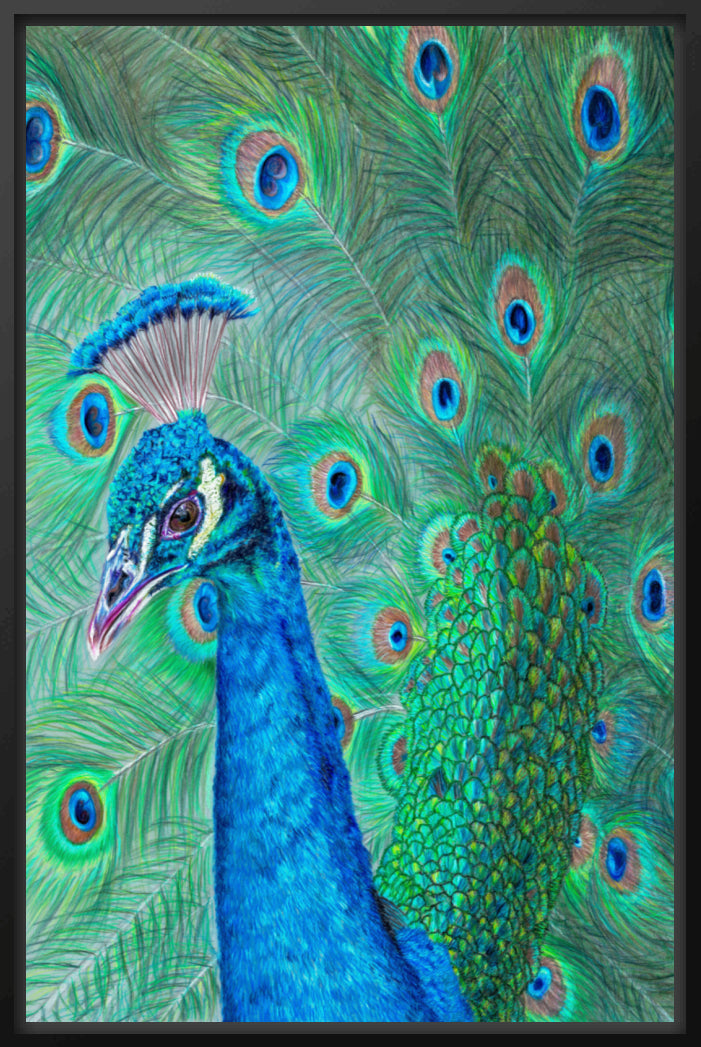 "The Eyes Have It" Canvas Print