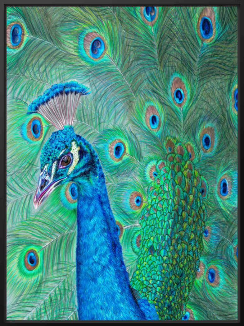 "The Eyes Have It" Canvas Print