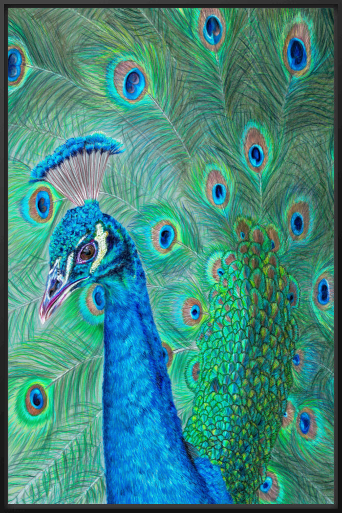 "The Eyes Have It" Canvas Print