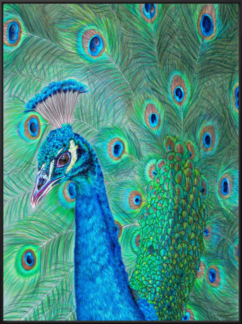 "The Eyes Have It" Canvas Print