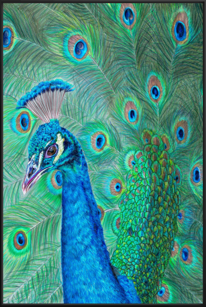 "The Eyes Have It" Canvas Print