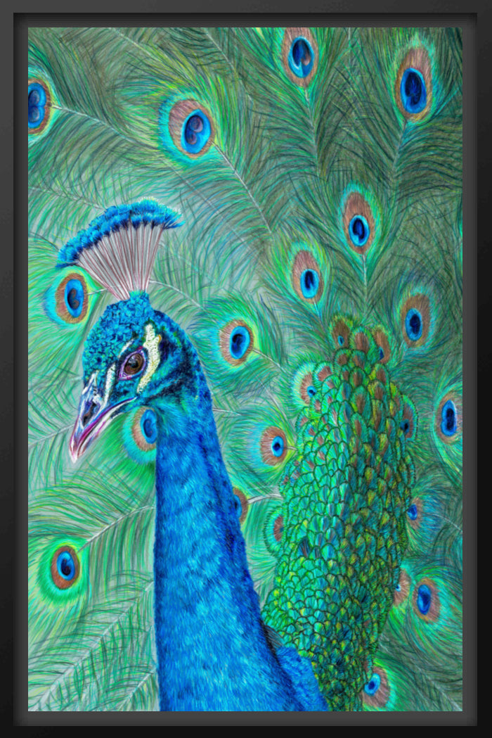 "The Eyes Have It" Canvas Print