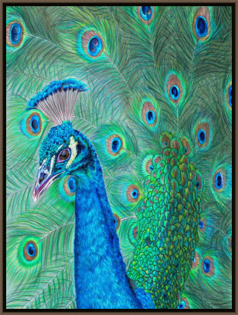 "The Eyes Have It" Canvas Print