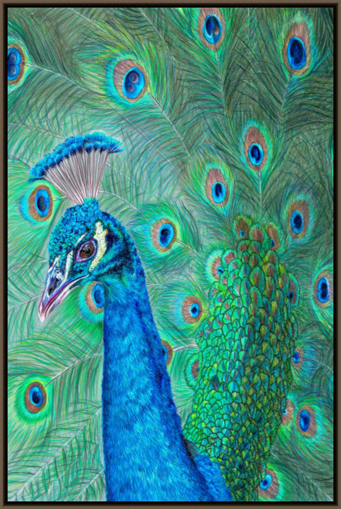 "The Eyes Have It" Canvas Print