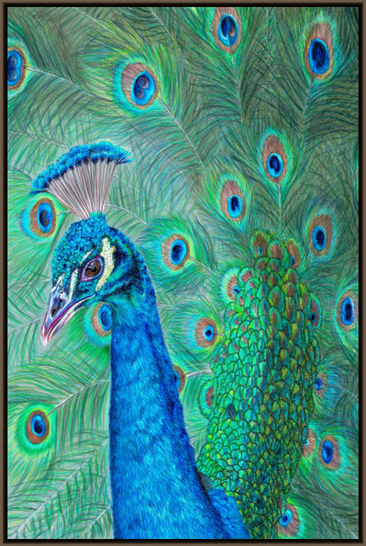 "The Eyes Have It" Canvas Print