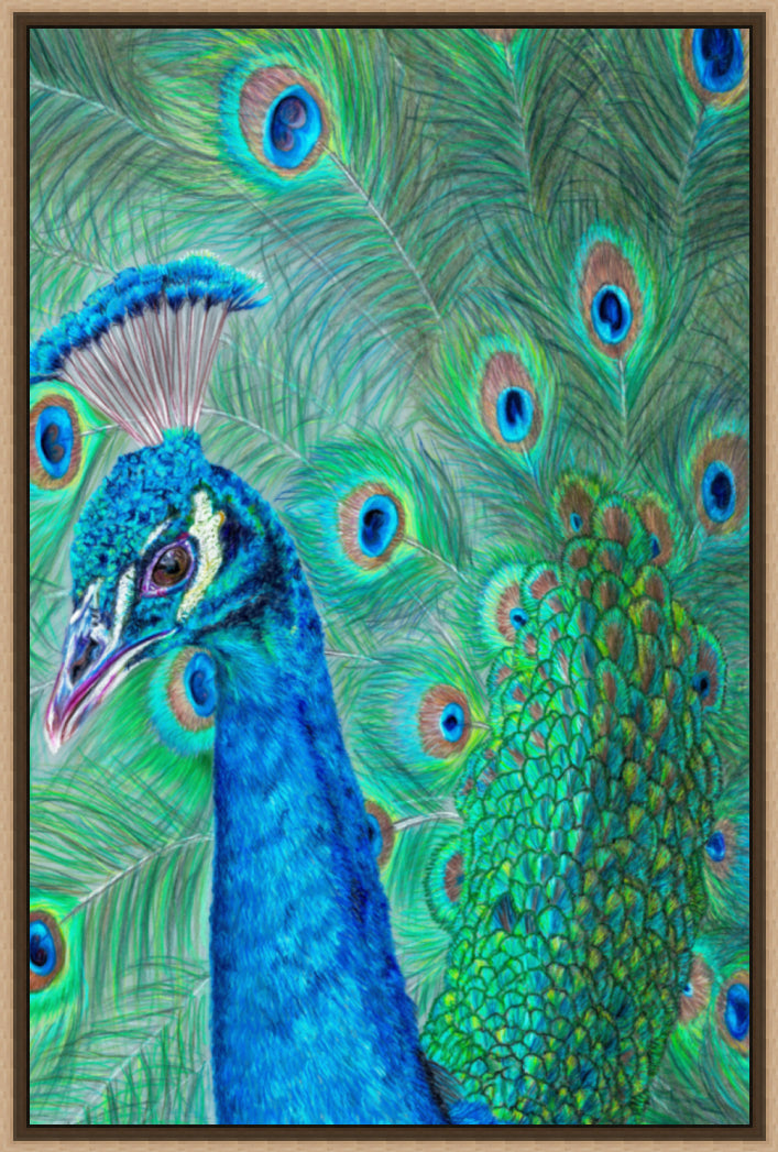 "The Eyes Have It" Canvas Print