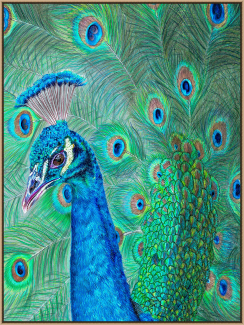 "The Eyes Have It" Canvas Print