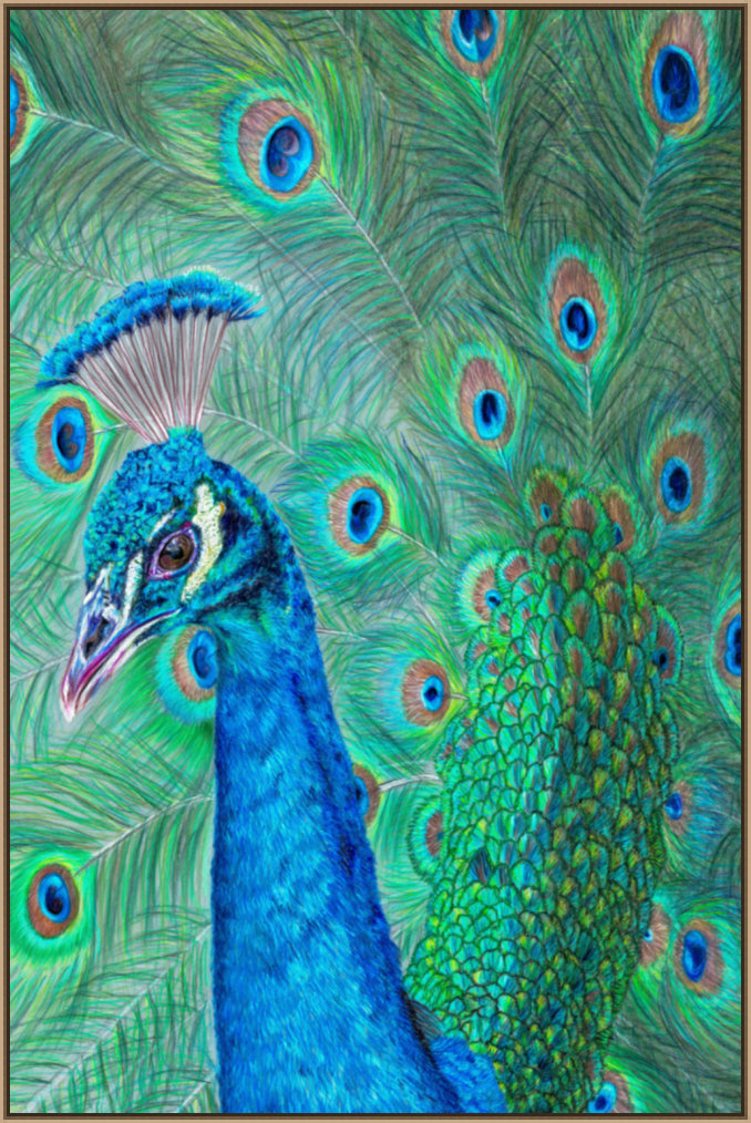 "The Eyes Have It" Canvas Print