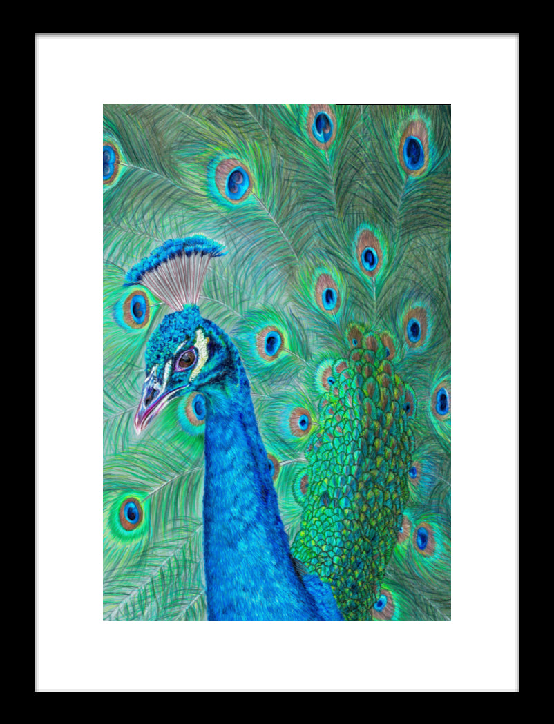 "The Eyes Have It" Framed Fine Art Print