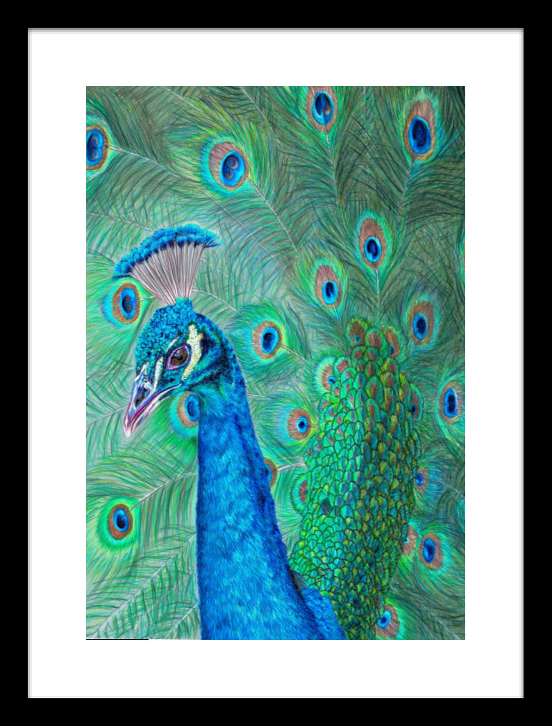 "The Eyes Have It" Framed Fine Art Print