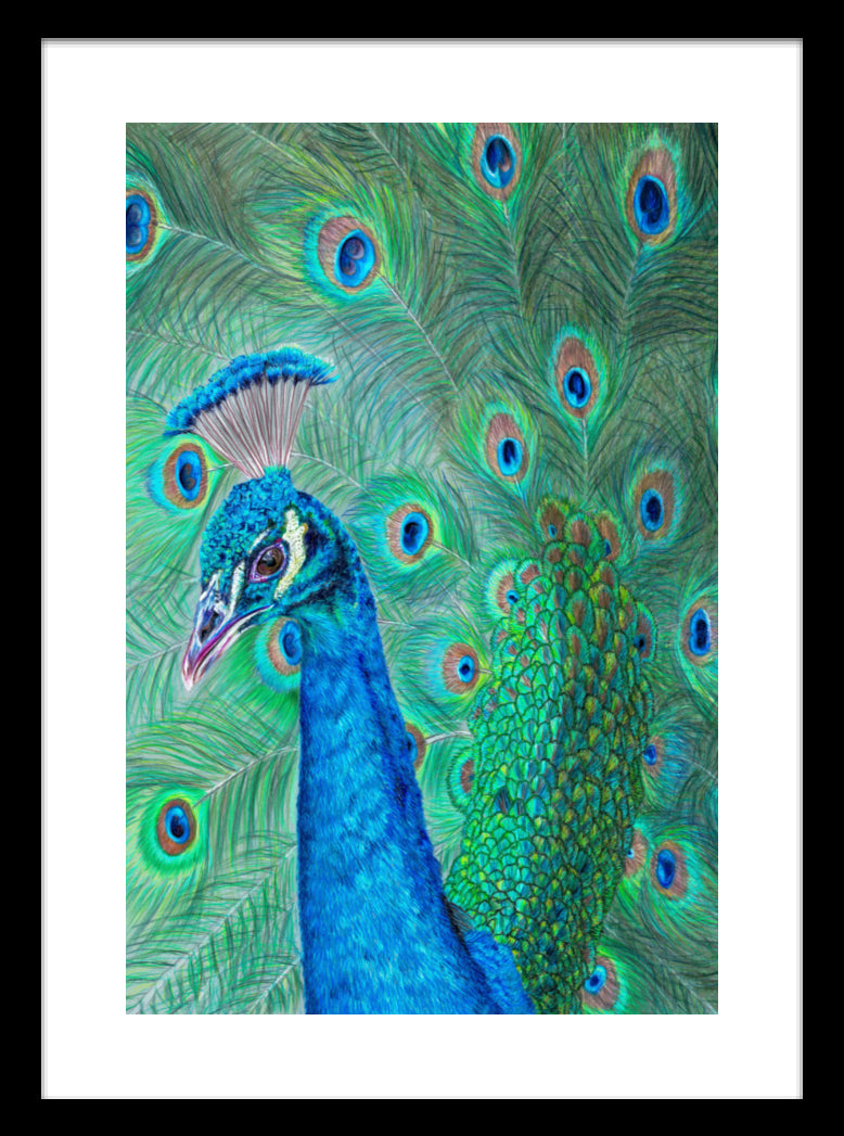 "The Eyes Have It" Framed Fine Art Print