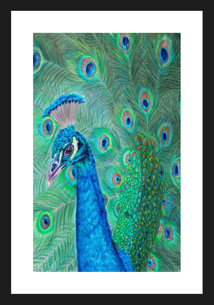 "The Eyes Have It" Framed Fine Art Print