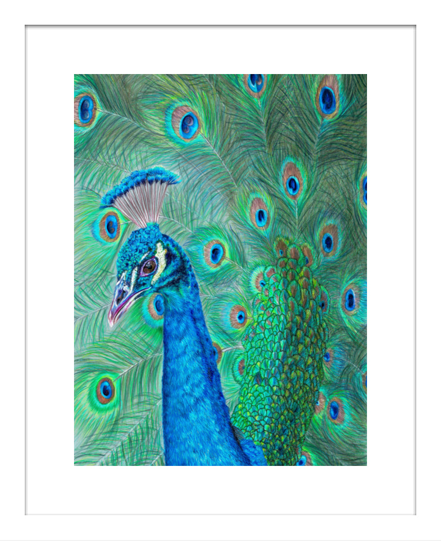 "The Eyes Have It" Framed Fine Art Print