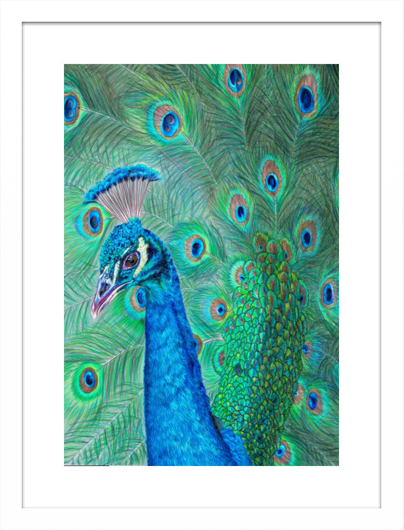 "The Eyes Have It" Framed Fine Art Print