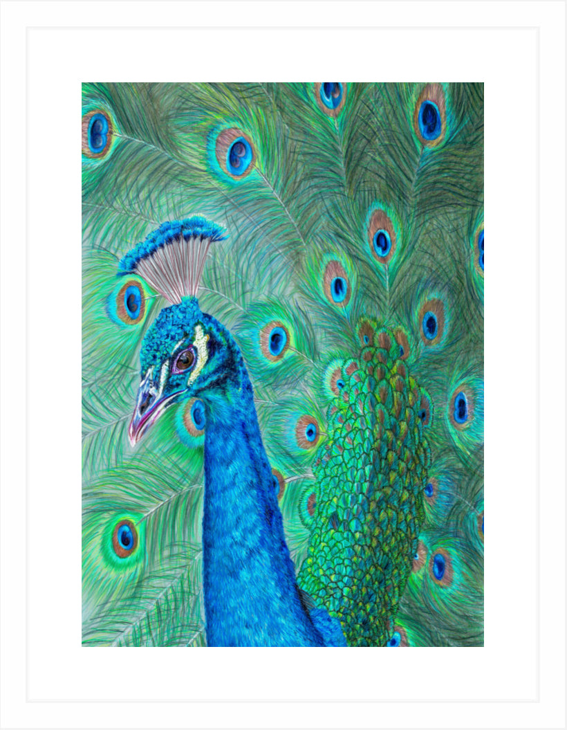 "The Eyes Have It" Framed Fine Art Print