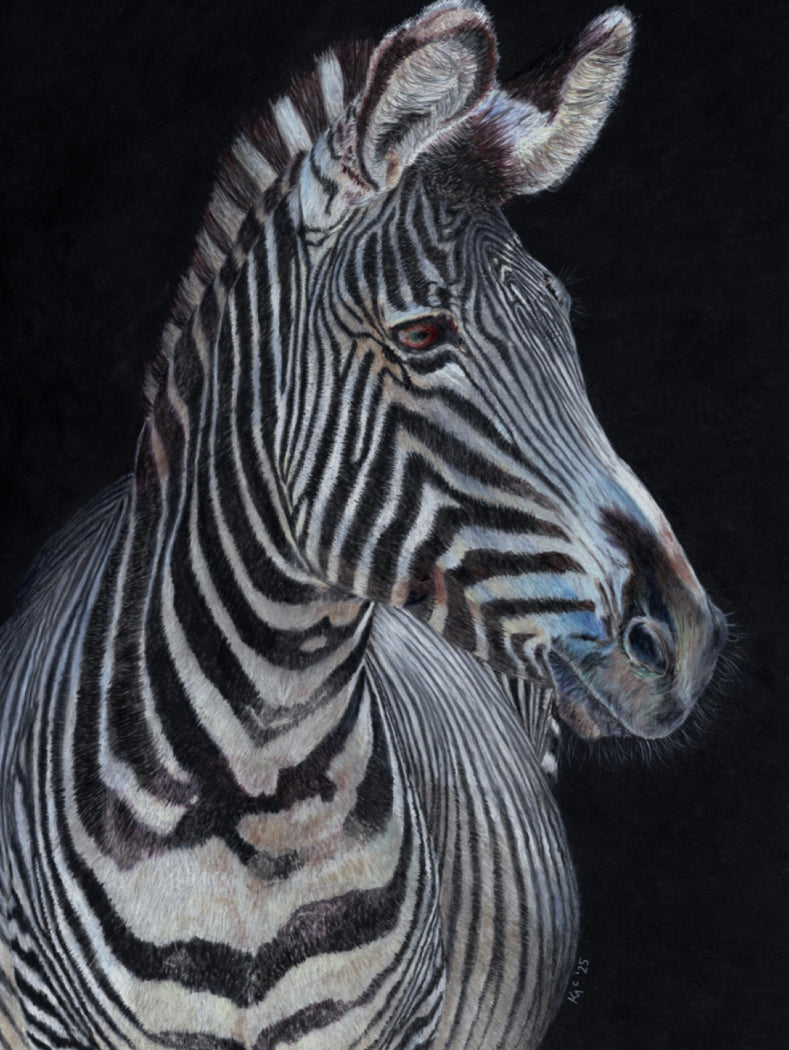 "Twilight Jazz" Canvas Print