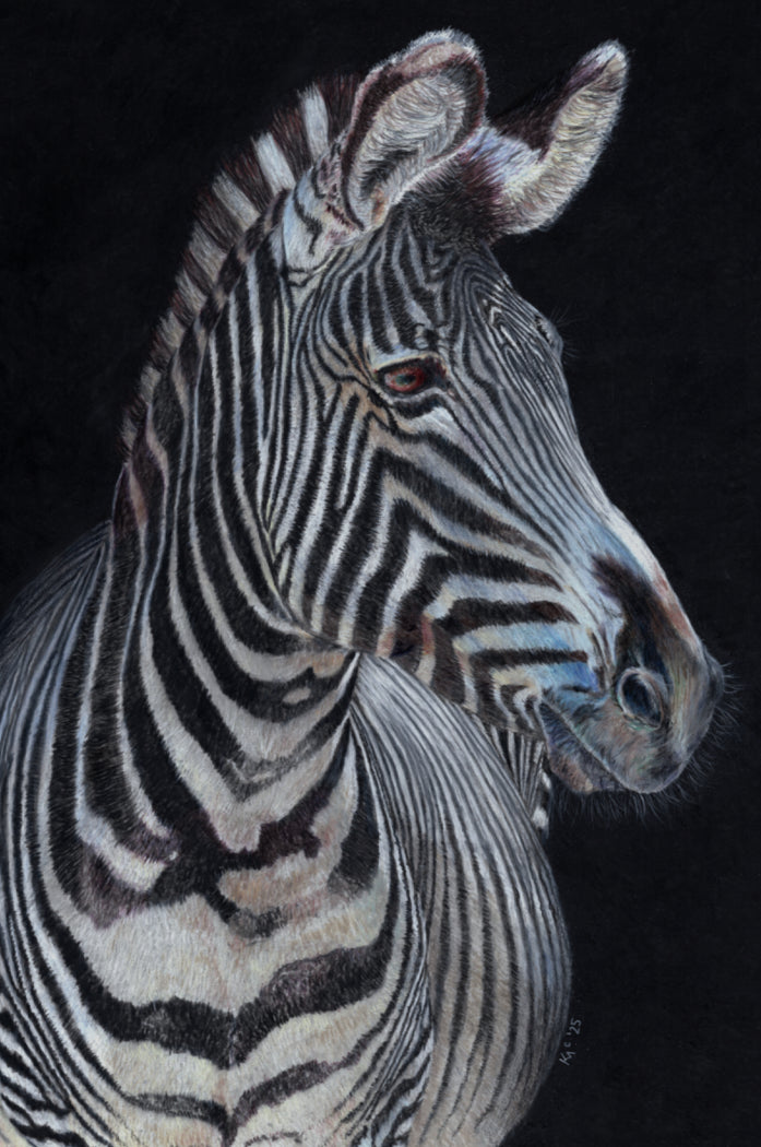 "Twilight Jazz" Canvas Print