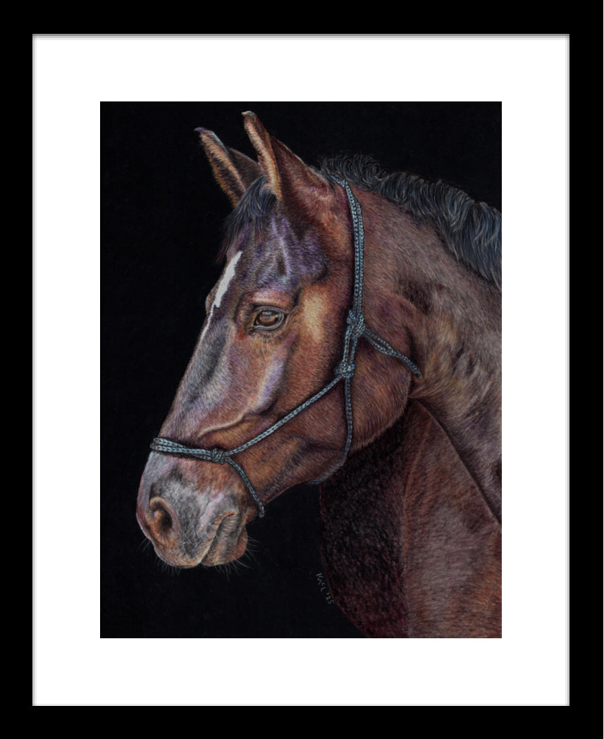 "Unreined Majesty" Framed Fine Art Print