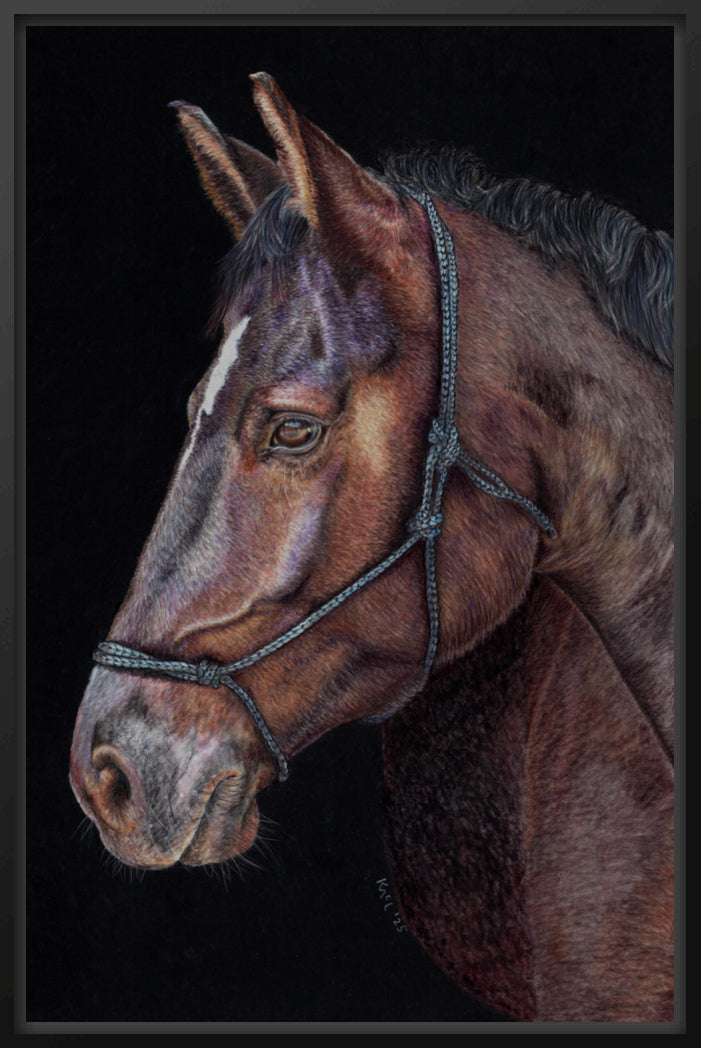 "Unreined Majesty" Canvas Print