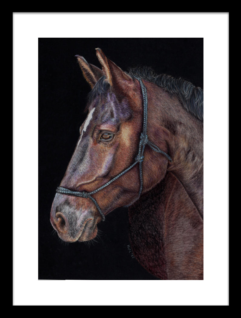 "Unreined Majesty" Framed Fine Art Print