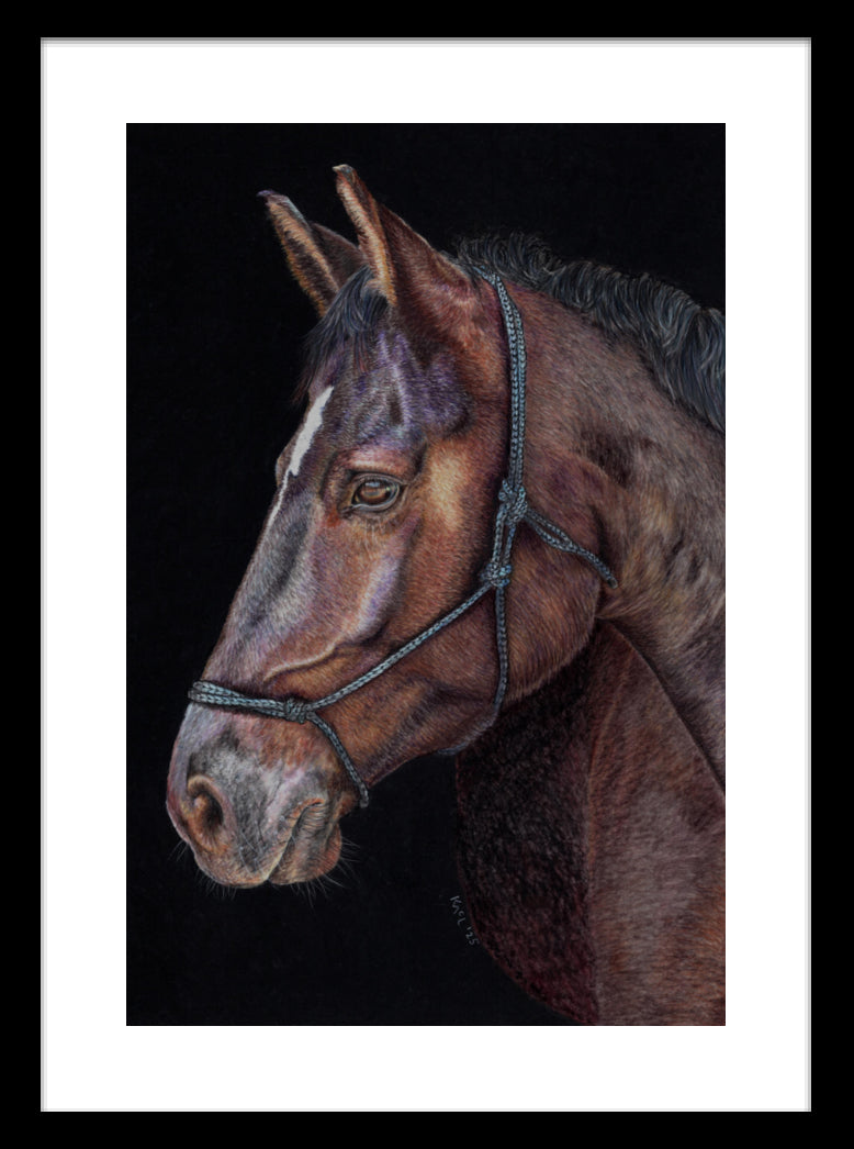 "Unreined Majesty" Framed Fine Art Print