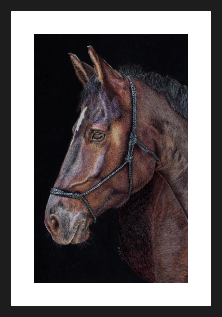 "Unreined Majesty" Framed Fine Art Print