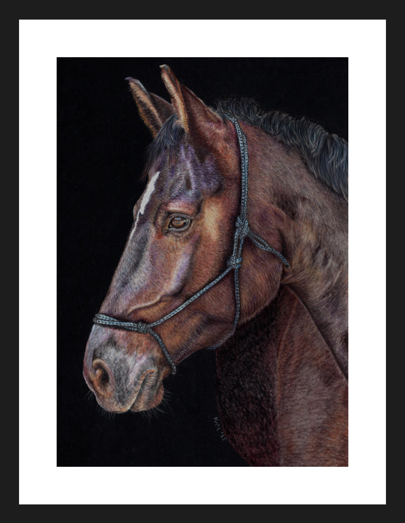 "Unreined Majesty" Framed Fine Art Print