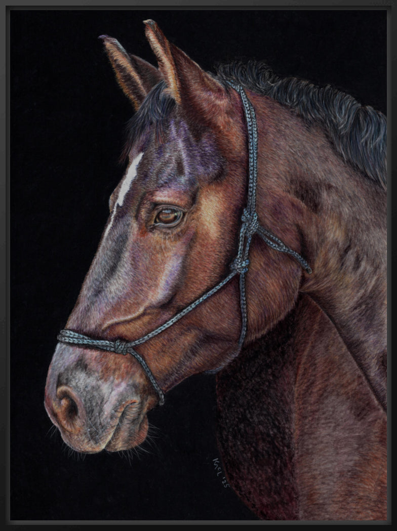 "Unreined Majesty" Canvas Print