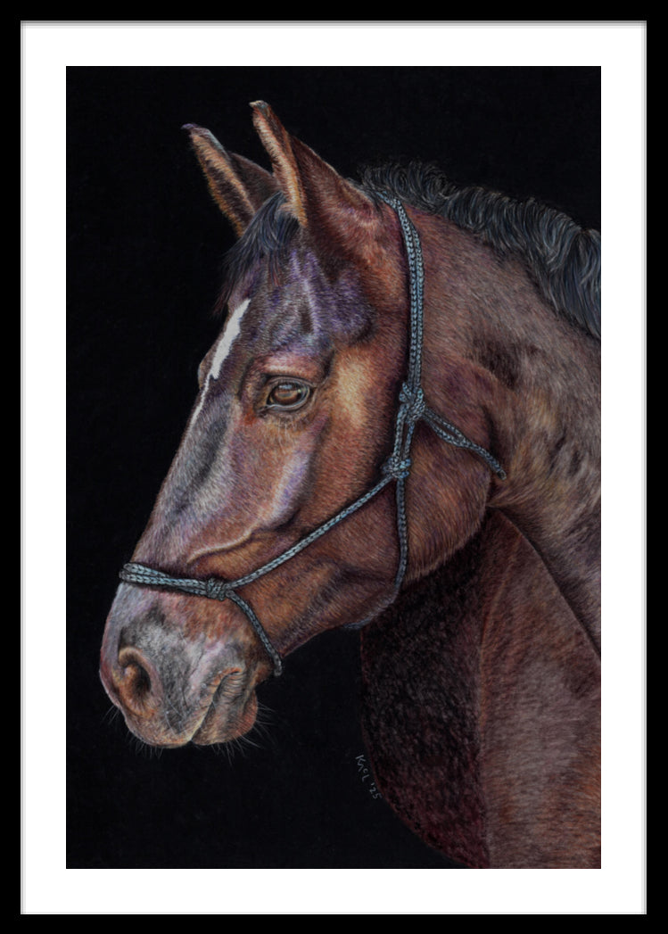 "Unreined Majesty" Framed Fine Art Print