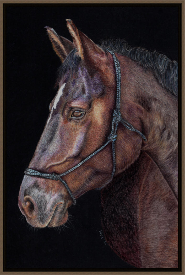 "Unreined Majesty" Canvas Print