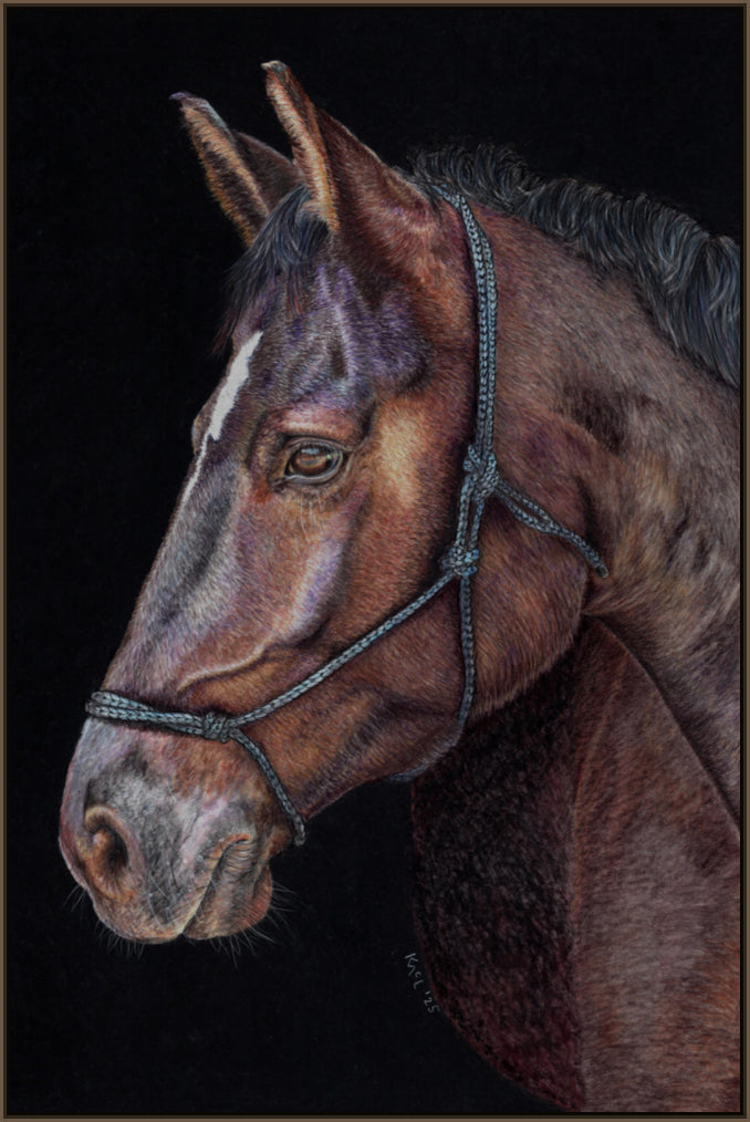 "Unreined Majesty" Canvas Print