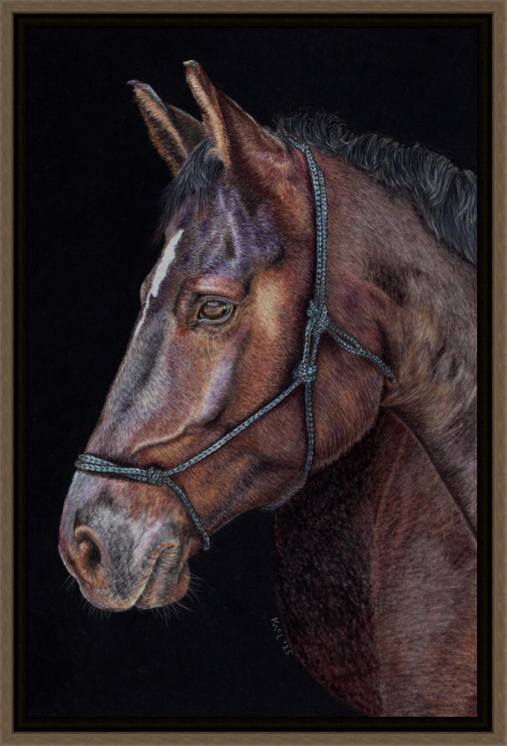 "Unreined Majesty" Canvas Print