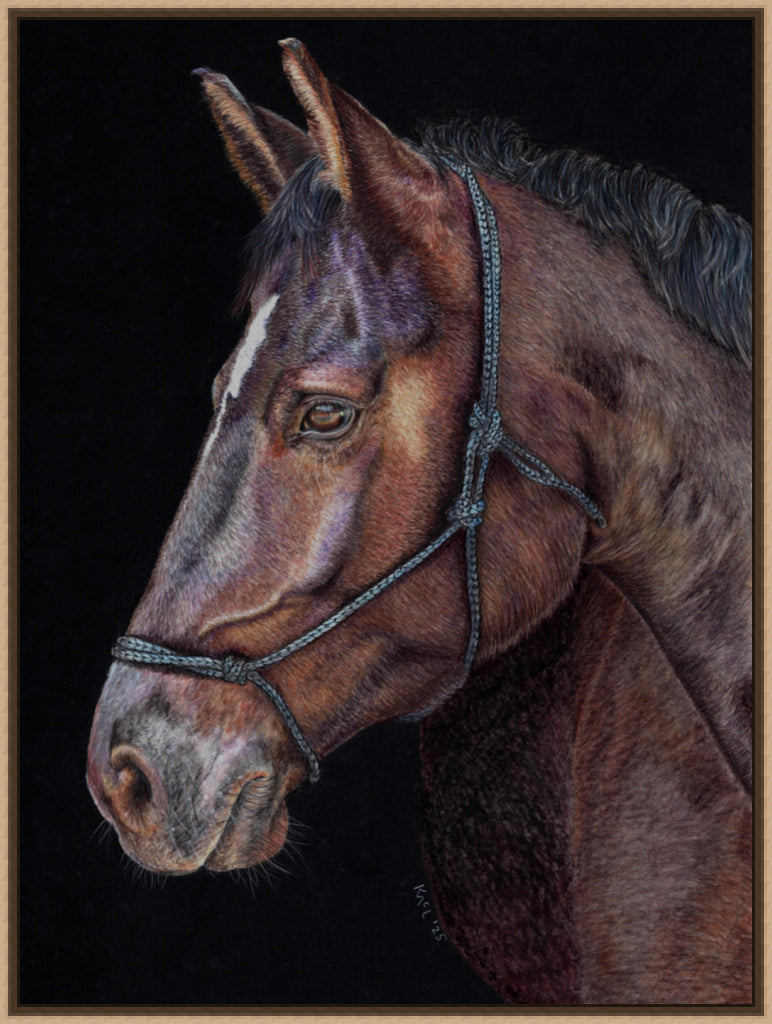 "Unreined Majesty" Canvas Print