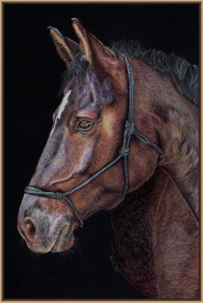 "Unreined Majesty" Canvas Print