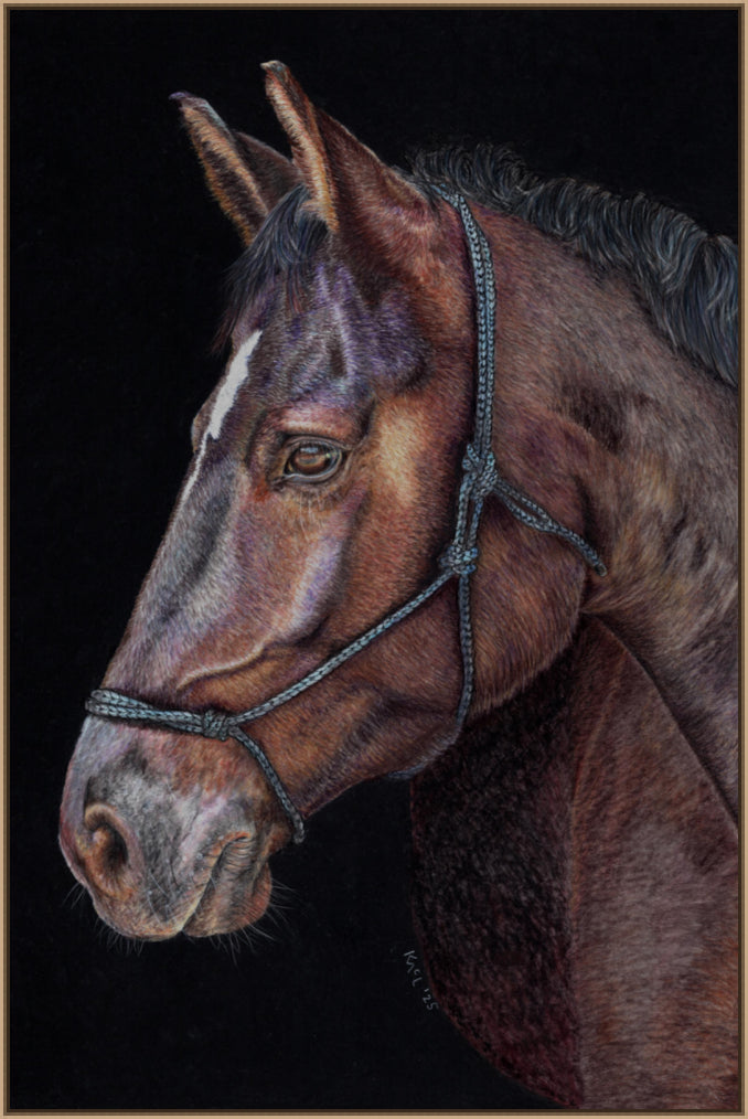 "Unreined Majesty" Canvas Print