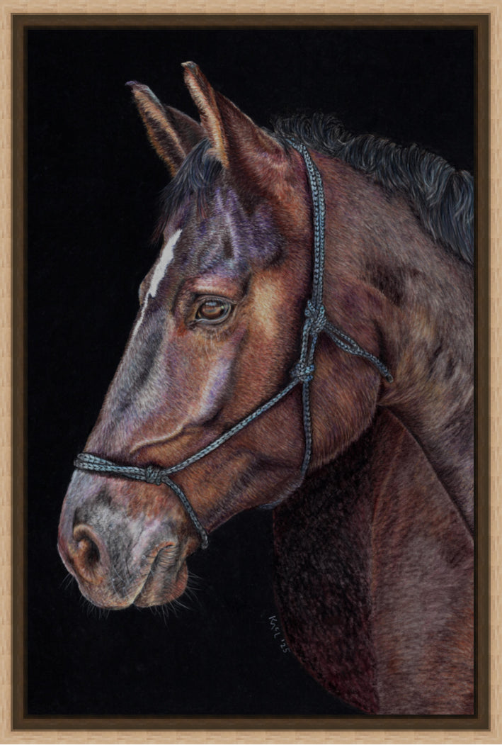 "Unreined Majesty" Canvas Print