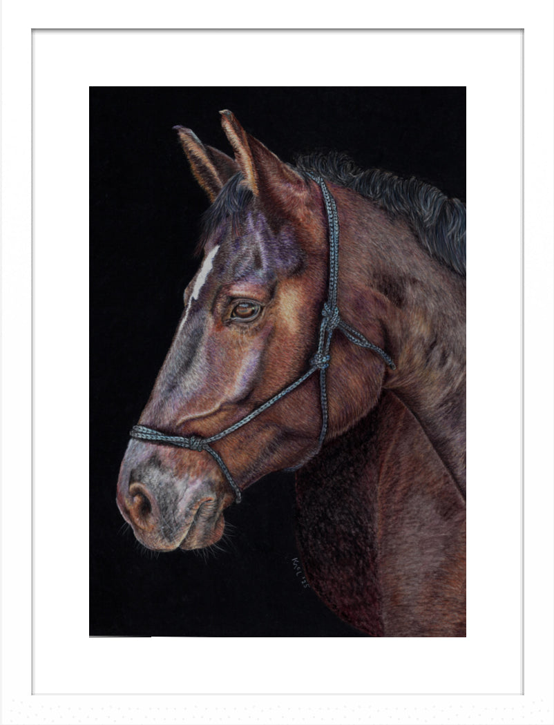 "Unreined Majesty" Framed Fine Art Print