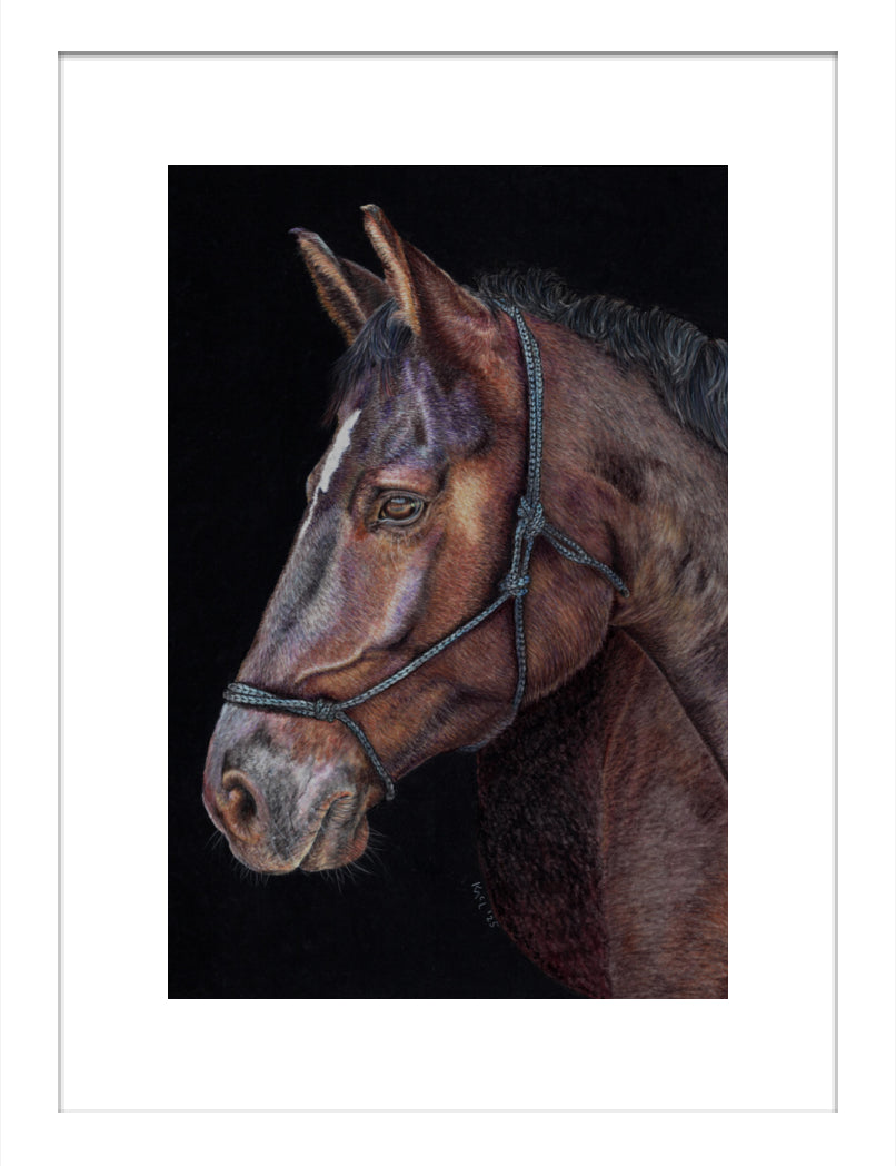 "Unreined Majesty" Framed Fine Art Print