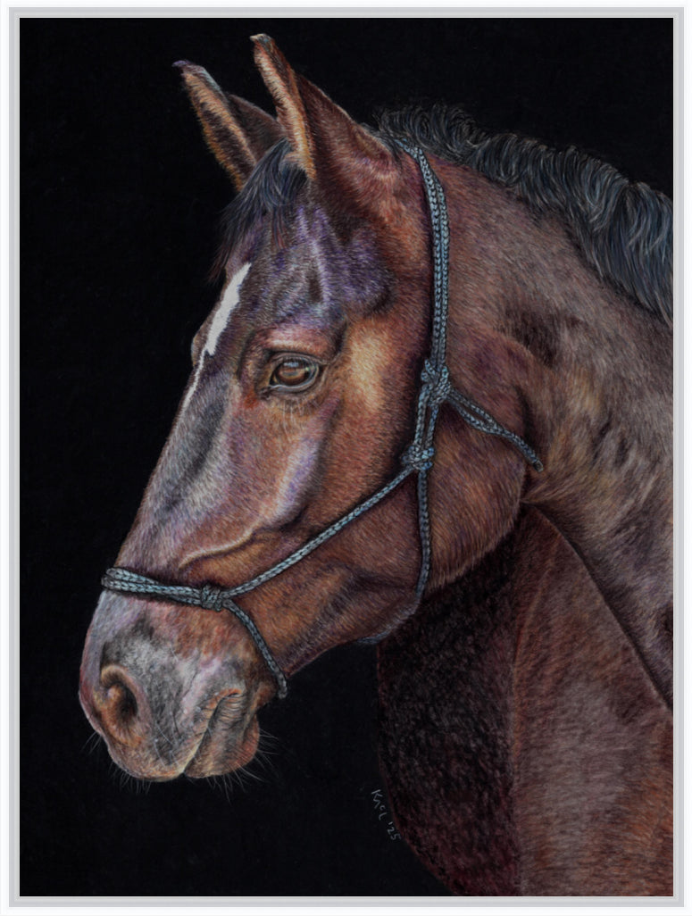 "Unreined Majesty" Canvas Print