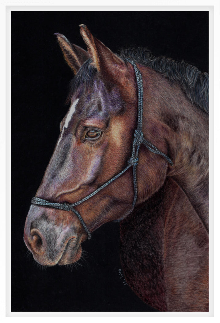 "Unreined Majesty" Canvas Print