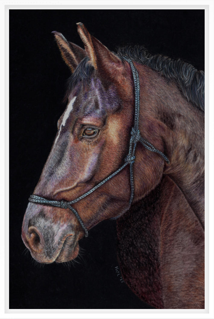 "Unreined Majesty" Canvas Print