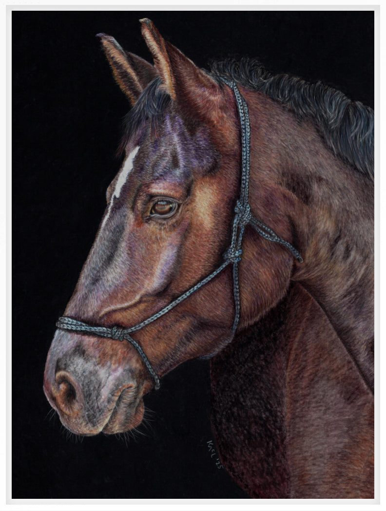 "Unreined Majesty" Canvas Print