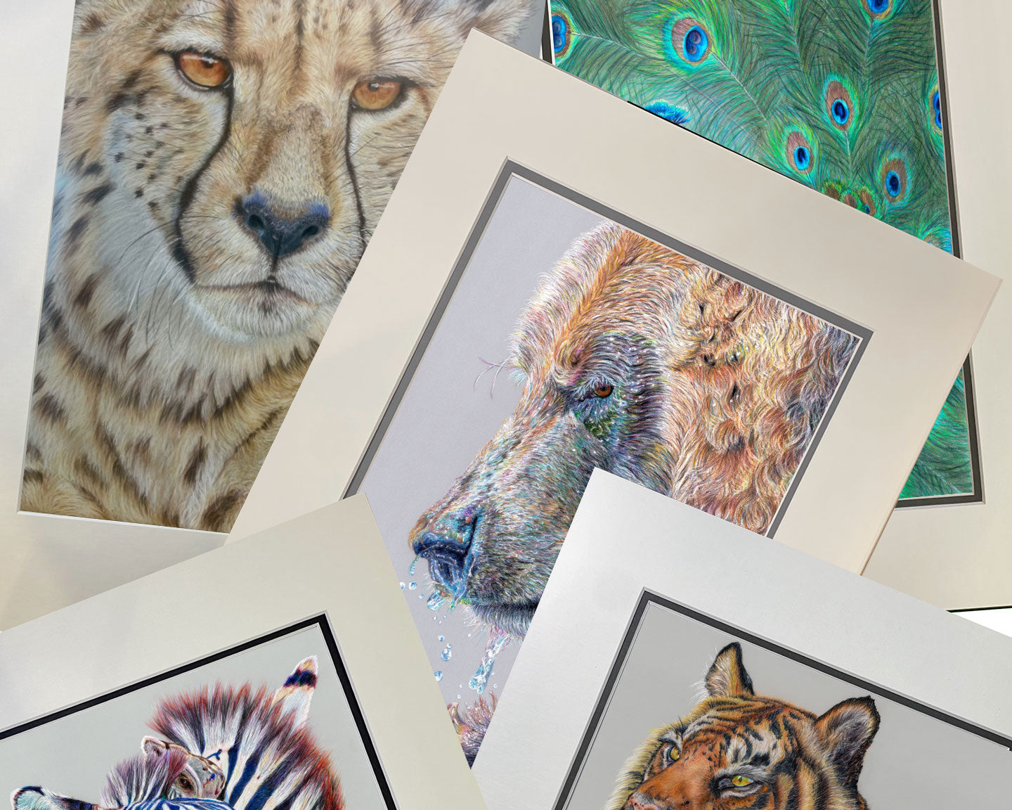 Wildlife Unframed Fine Art Prints