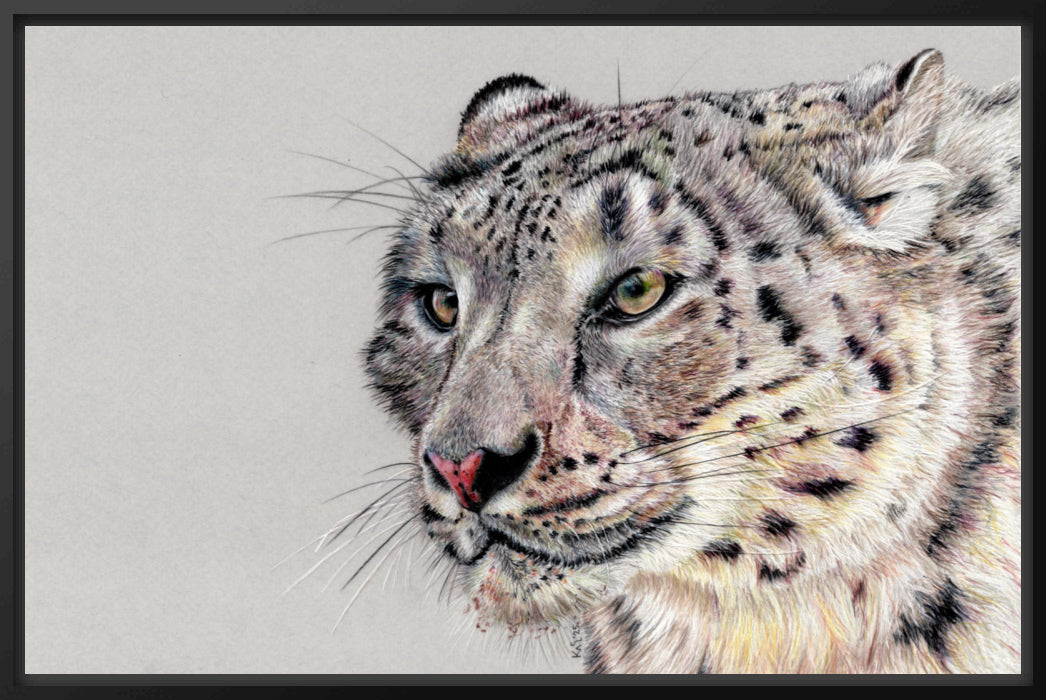 "Adaptation" Canvas Print