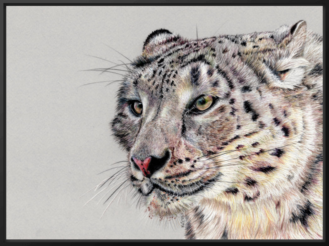 "Adaptation" Canvas Print