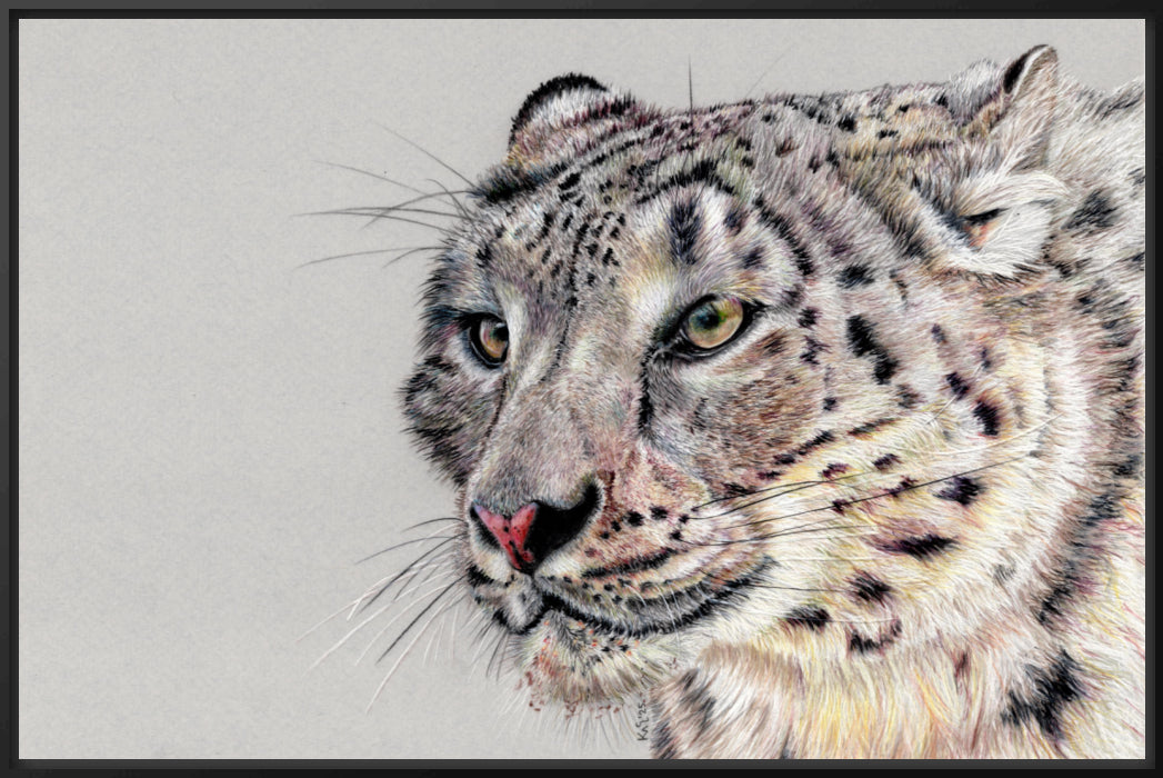 "Adaptation" Canvas Print