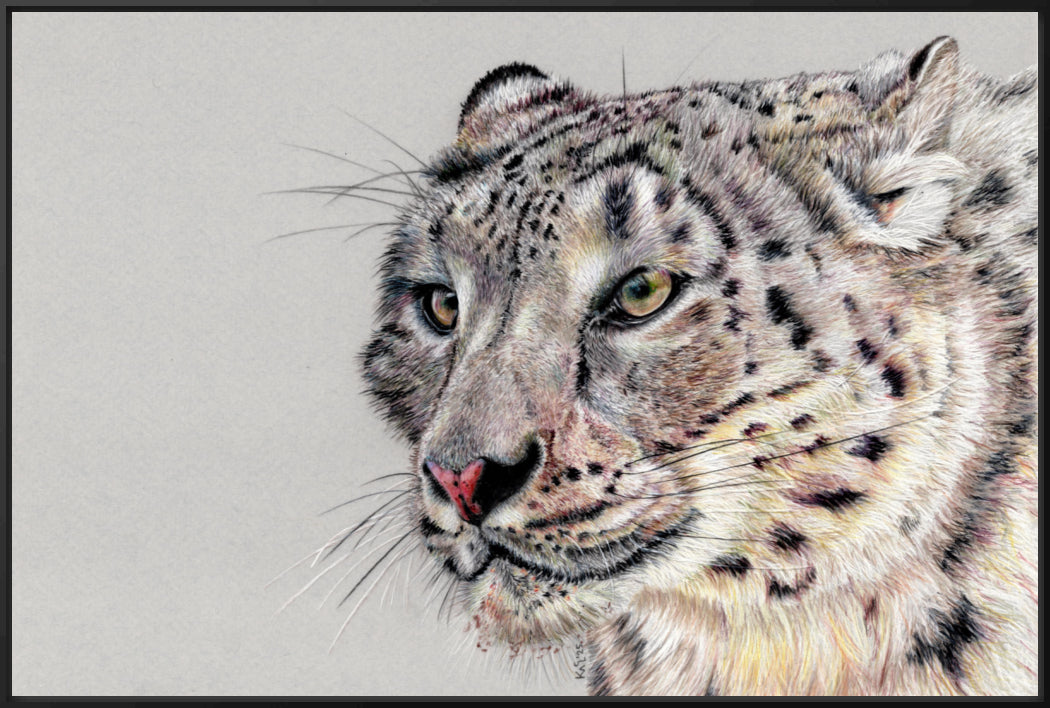 "Adaptation" Canvas Print