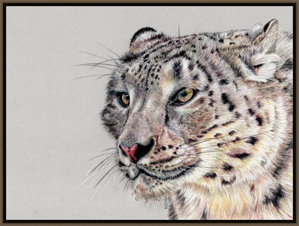 "Adaptation" Canvas Print