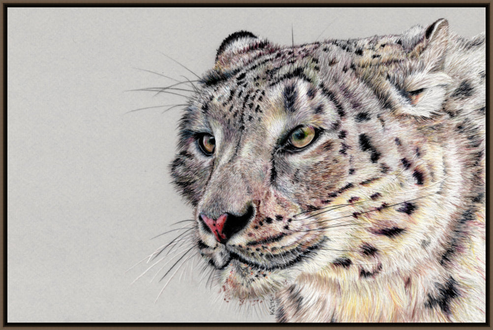 "Adaptation" Canvas Print